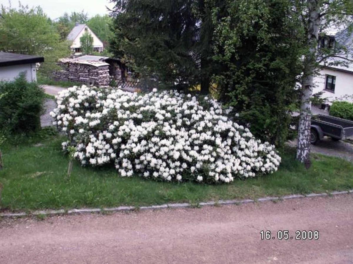 Ferienhaus Ferien Am Waldrand Altenberg  Zewnętrze zdjęcie